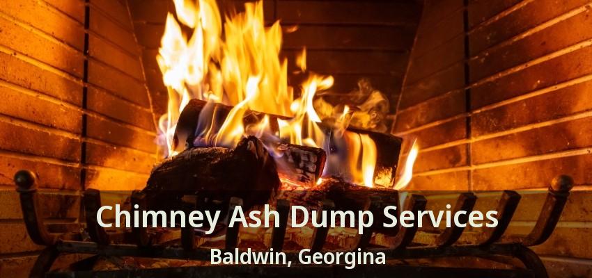 Chimney Ash Dump Services Baldwin, Georgina - ON
