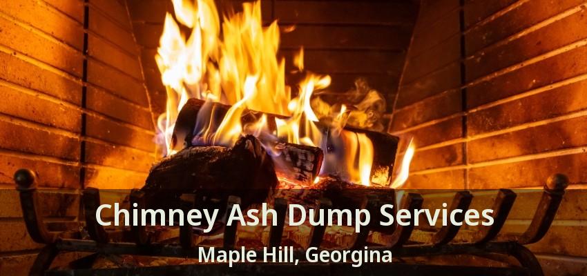 Chimney Ash Dump Services Maple Hill, Georgina - ON
