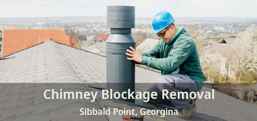 Chimney Blockage Removal Sibbald Point, Georgina - ON