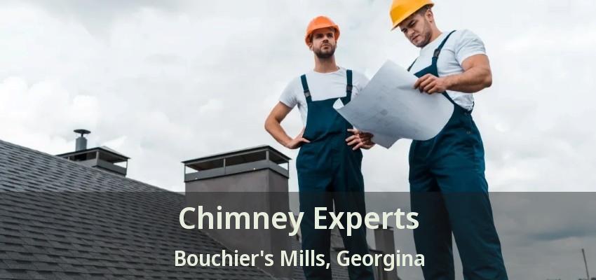 Chimney Experts Bouchier's Mills, Georgina - ON