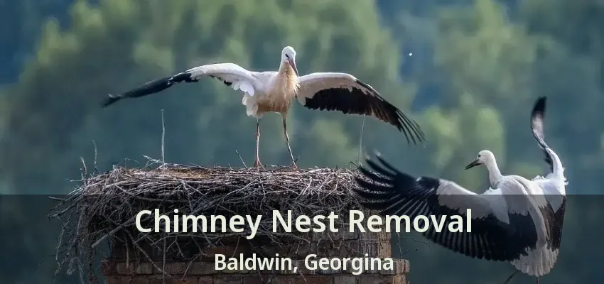 Chimney Nest Removal Baldwin, Georgina - ON