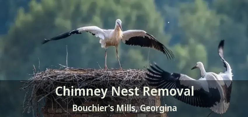 Chimney Nest Removal Bouchier's Mills, Georgina - ON