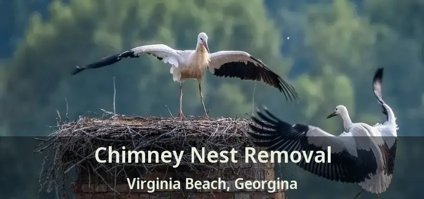 Chimney Nest Removal Virginia Beach, Georgina - ON