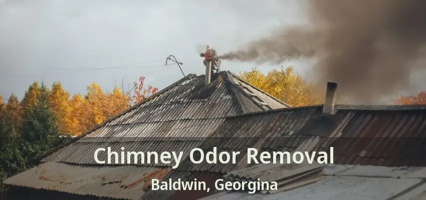 Chimney Odor Removal Baldwin, Georgina - ON