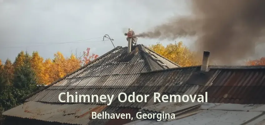 Chimney Odor Removal Belhaven, Georgina - ON
