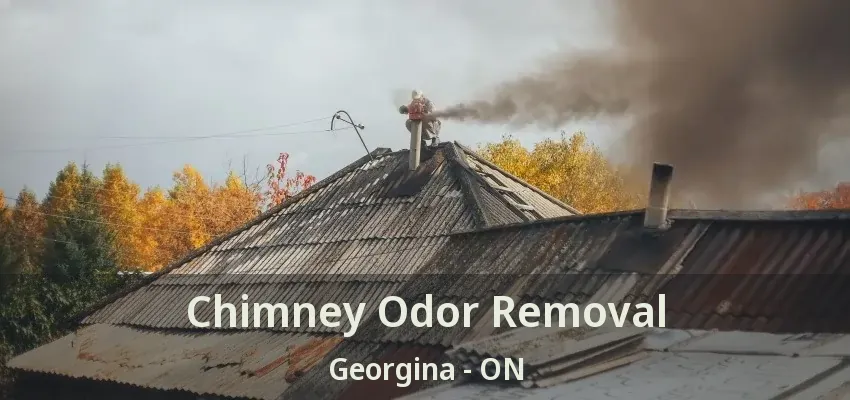 Chimney Odor Removal Georgina - ON