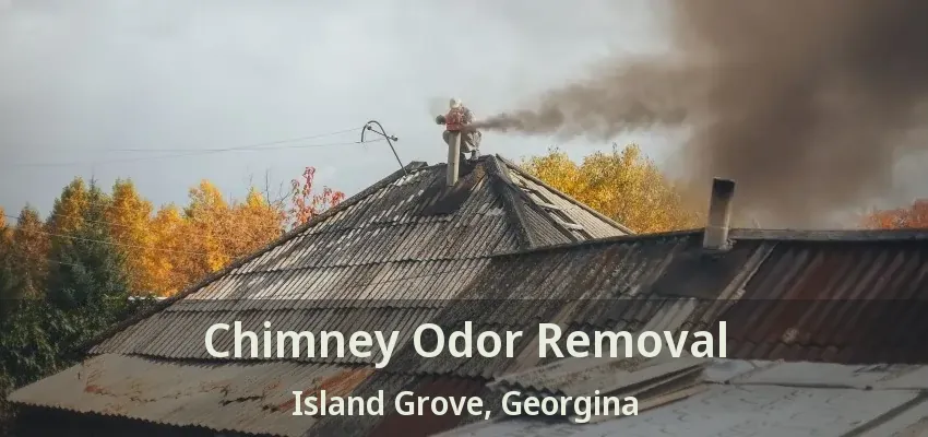 Chimney Odor Removal Island Grove, Georgina - ON