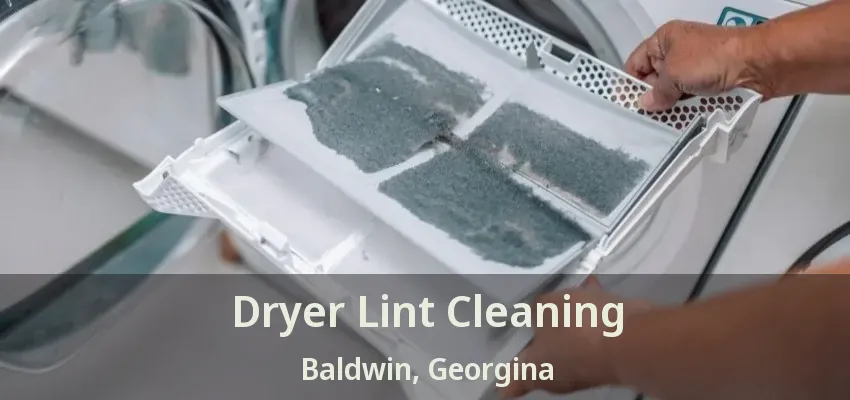 Dryer Lint Cleaning Baldwin, Georgina - ON