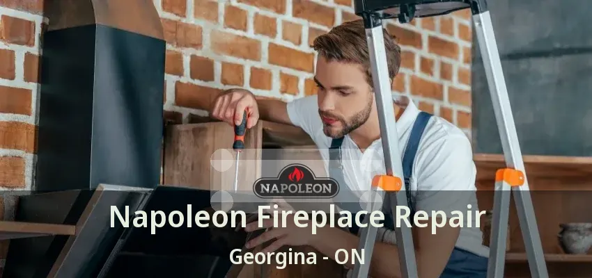 Napoleon Fireplace Repair Georgina - ON