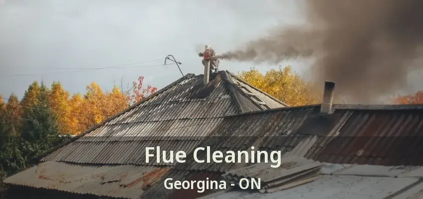 Flue Cleaning Georgina - ON