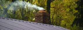 Chimney Odor Removal Baldwin, Georgina