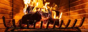 Fireplace Damper Services Udora, Georgina